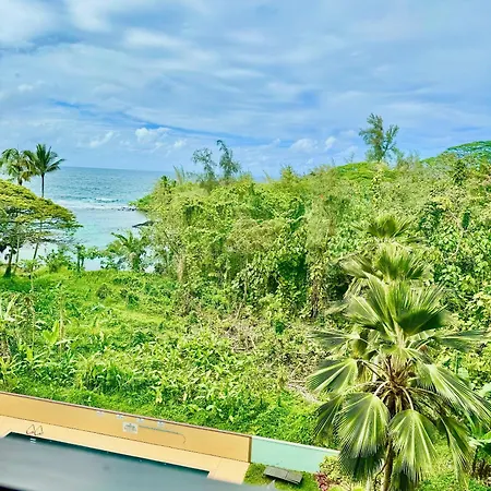 Direct Oceanfront Mauna Loa Shores Honu Elua #508 Next To Carlsmith Beach Park, Hilo Hi Extérieur photo