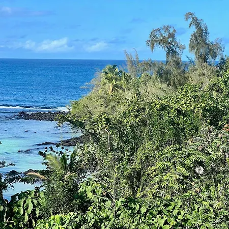 Direct Oceanfront Mauna Loa Shores Honu Elua #508 Next To Carlsmith Beach Park, Hilo Hi Extérieur photo