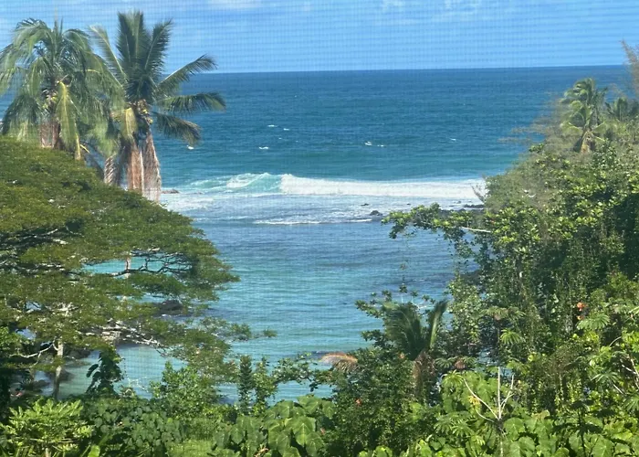 Direct Oceanfront Mauna Loa Shores Honu Elua #508 Next To Carlsmith Beach Park, Hilo Hi