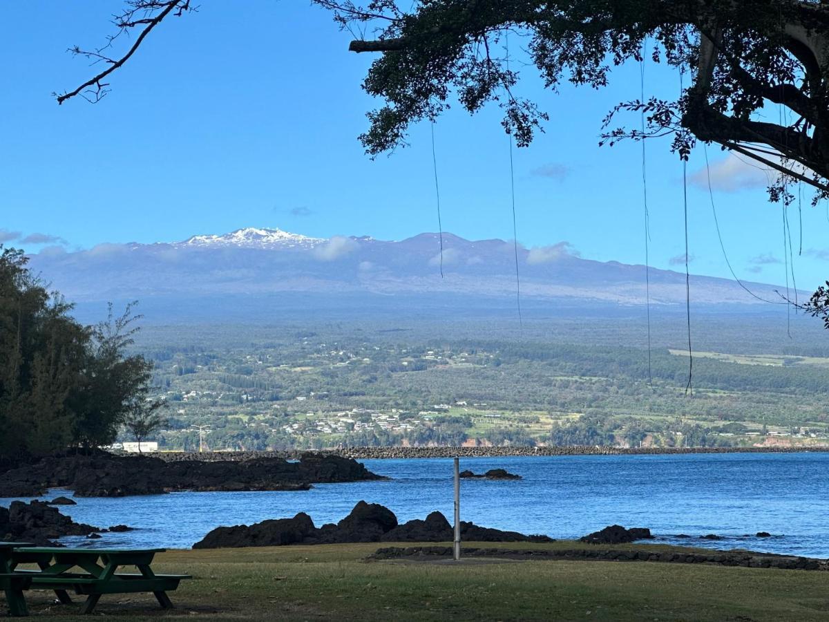 Direct Oceanfront Mauna Loa Shores Honu Elua #508 Next To Carlsmith Park, Hi Appartement Hilo