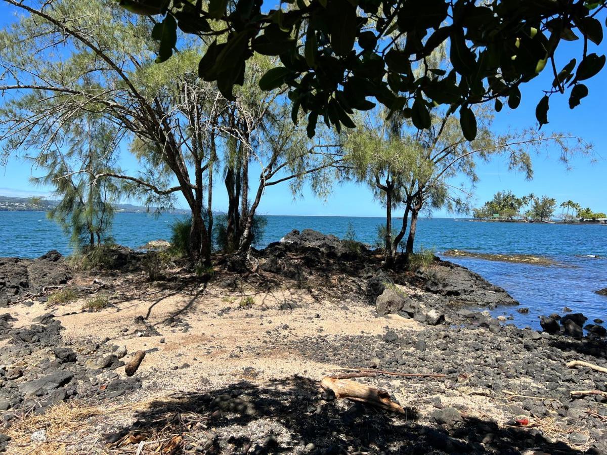 Direct Oceanfront Mauna Loa Shores Honu Elua #508 Next To Carlsmith Park, Hi Appartement *