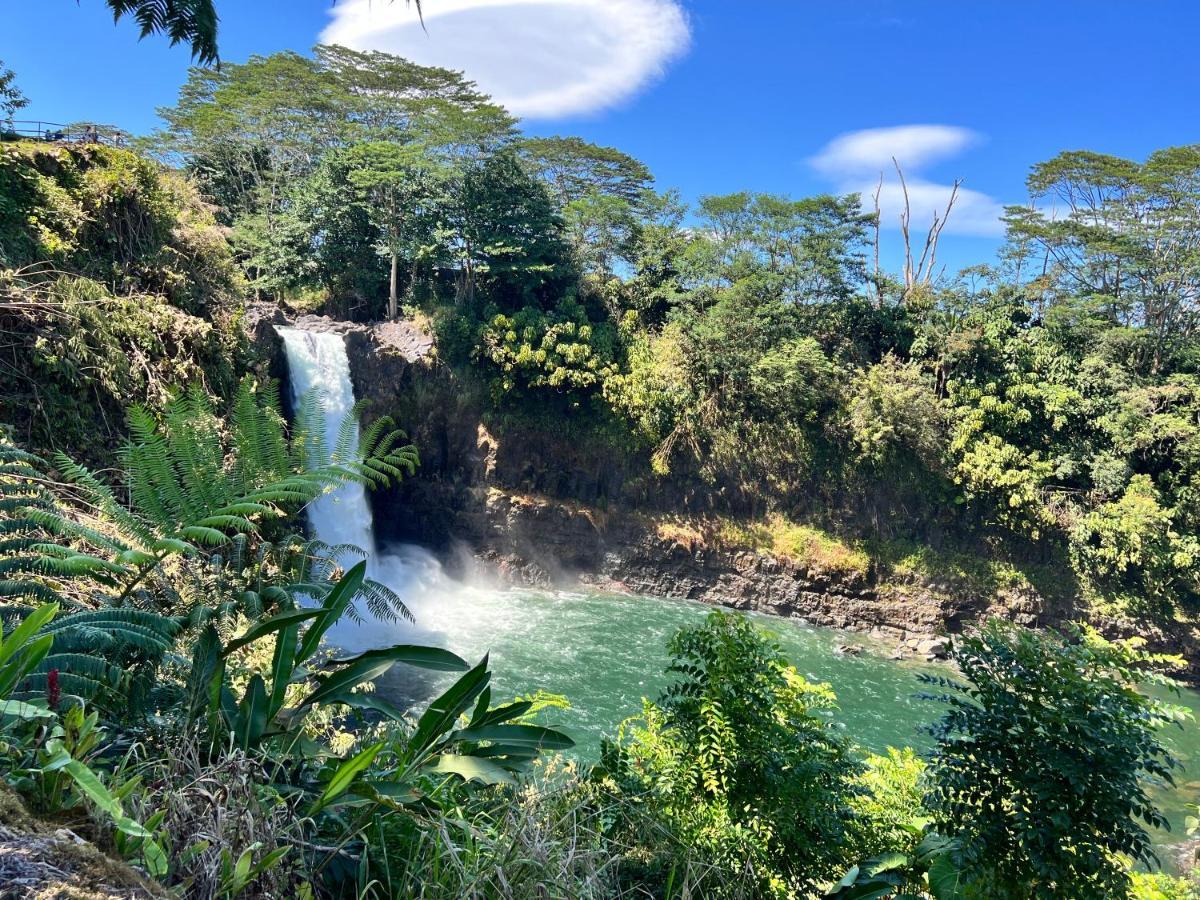 Direct Oceanfront Mauna Loa Shores Honu Elua #508 Next To Carlsmith Park, Hi Appartement *