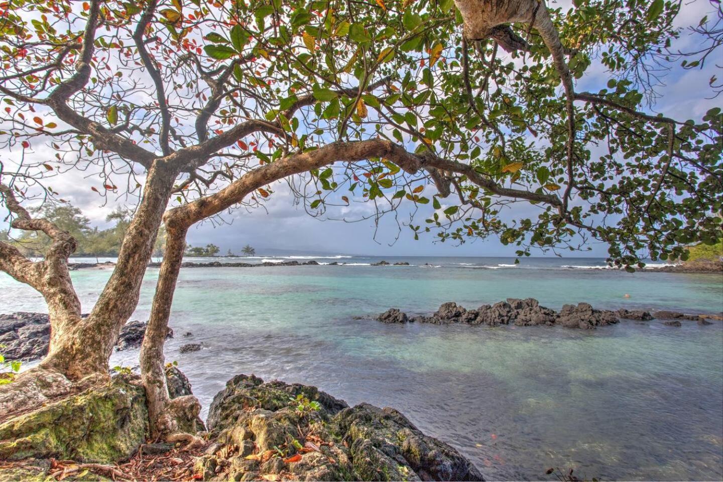 Appartement Direct Oceanfront Mauna Loa Shores Honu Elua #508 Next To Carlsmith Park, Hi