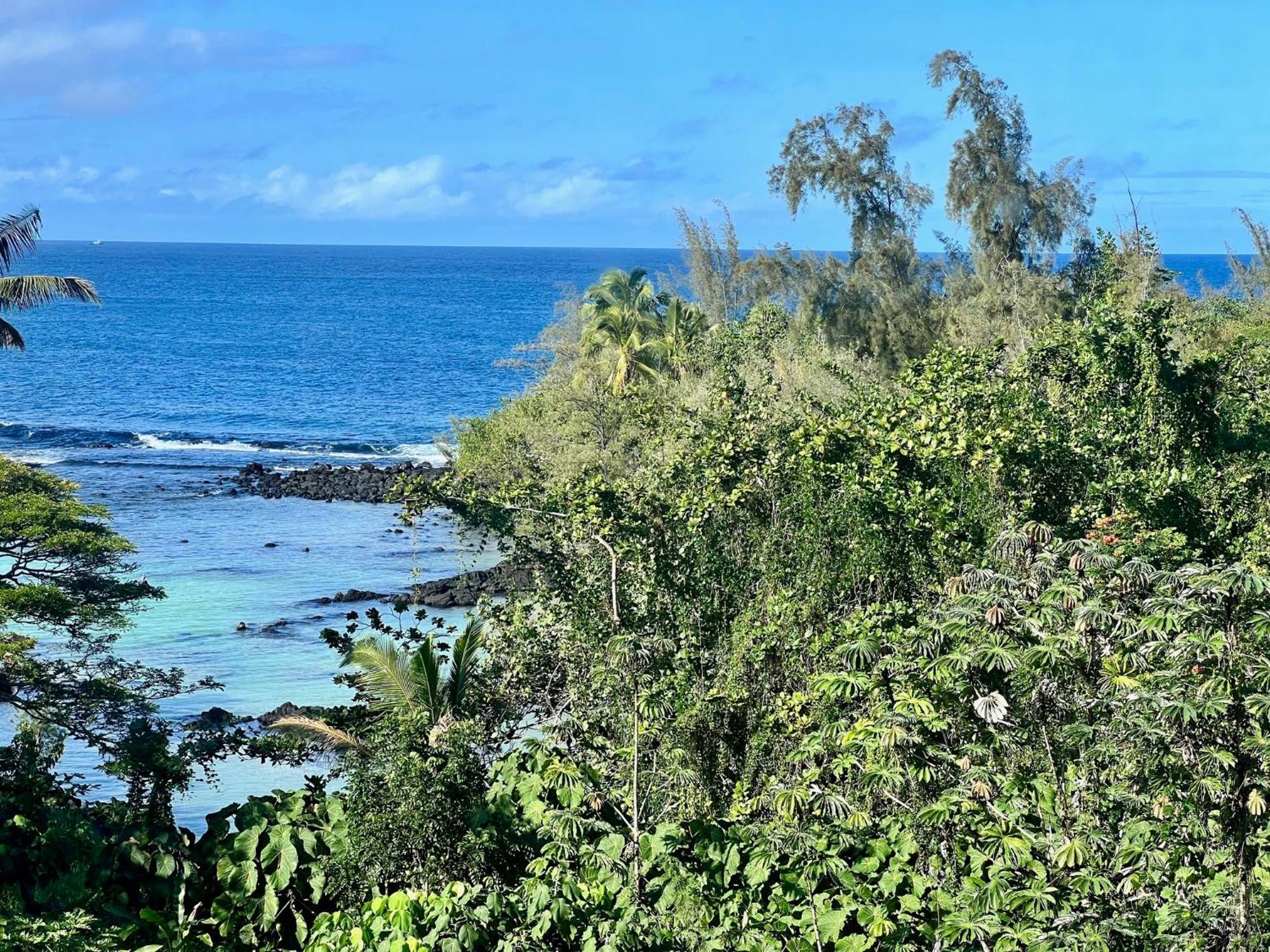 Direct Oceanfront Mauna Loa Shores Honu Elua #508 Next To Carlsmith Park, Hi Appartement Hilo