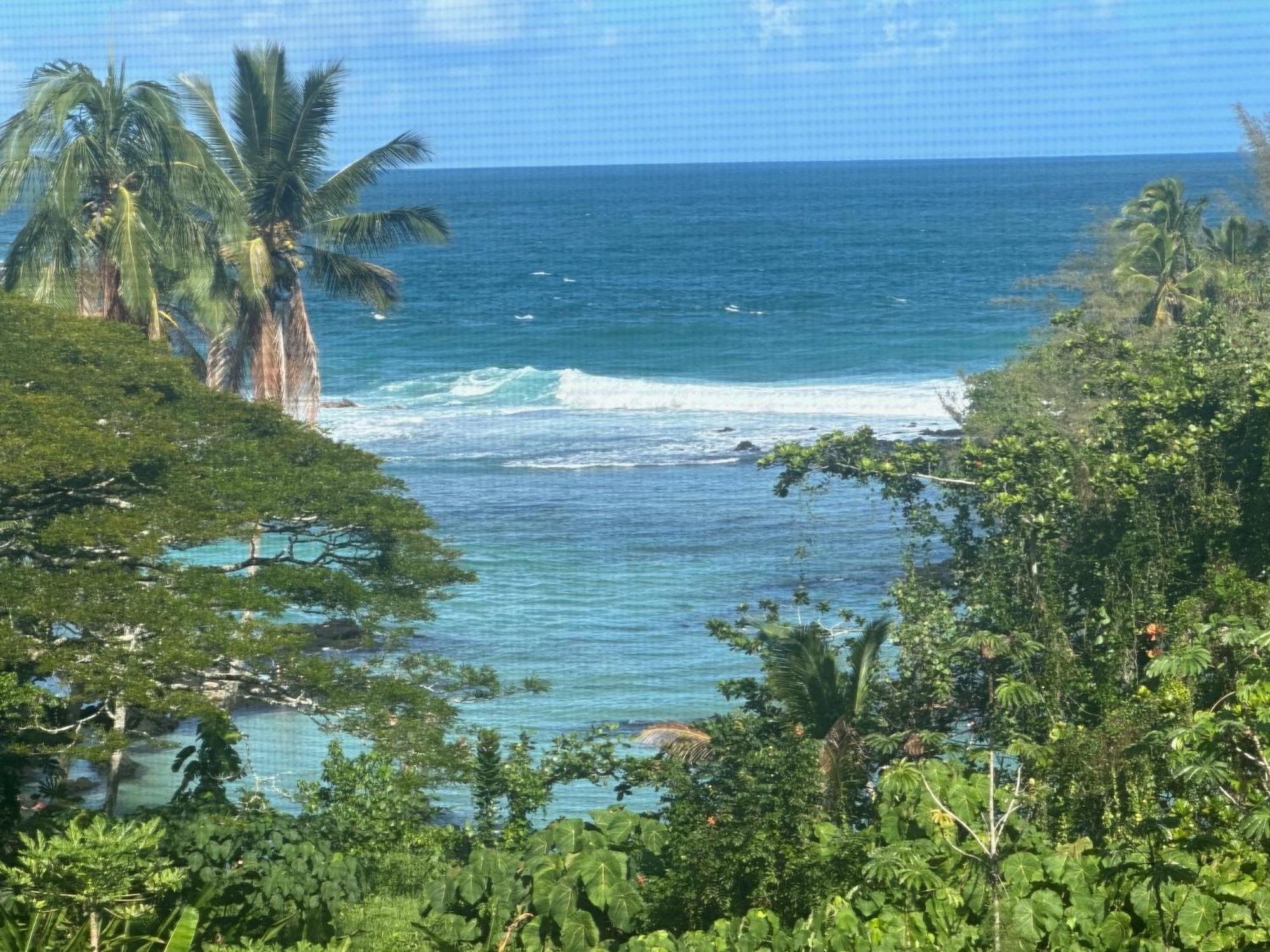 Appartement Direct Oceanfront Mauna Loa Shores Honu Elua #508 Next To Carlsmith Park, Hi *