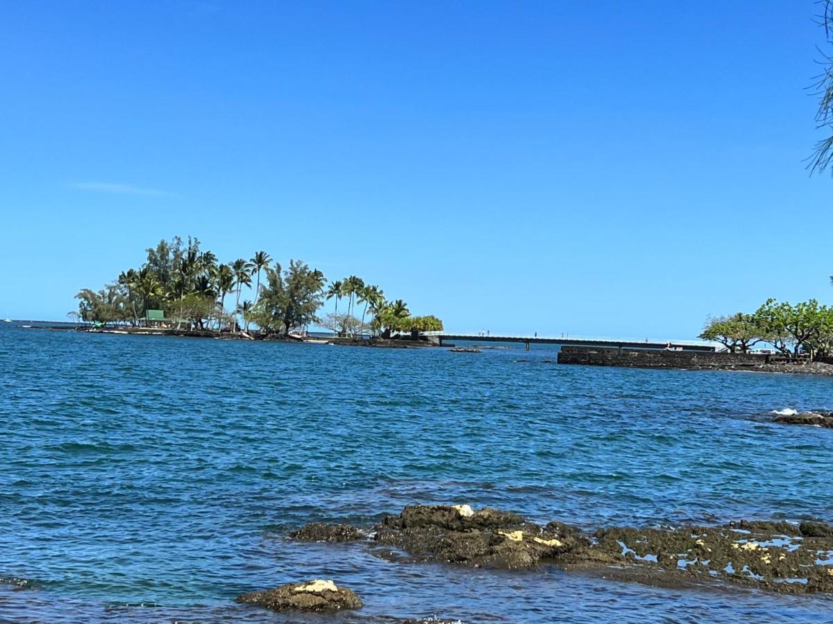 Appartamento Direct Oceanfront Mauna Loa Shores Honu Elua #508 Next To Carlsmith Park, Hi