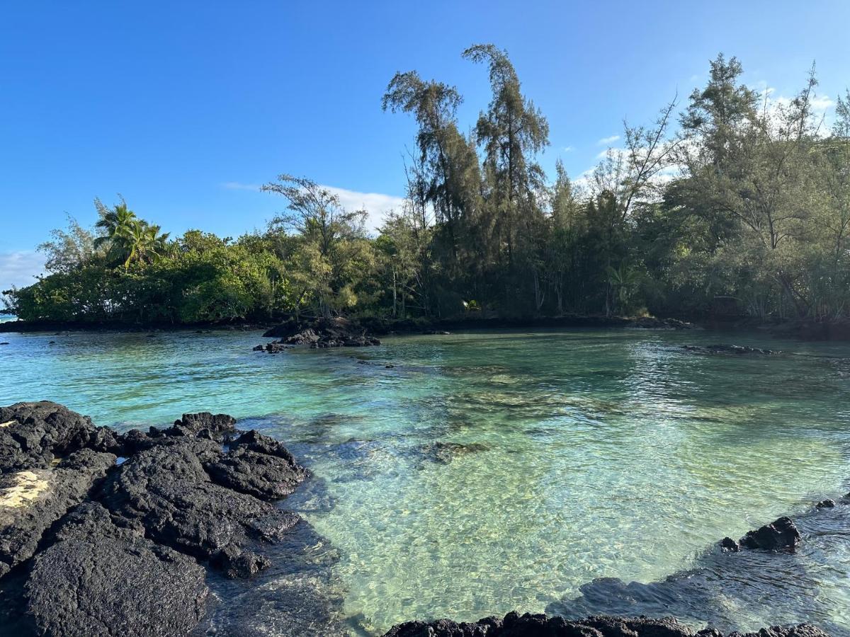 Appartamento Direct Oceanfront Mauna Loa Shores Honu Elua #508 Next To Carlsmith Park, Hi