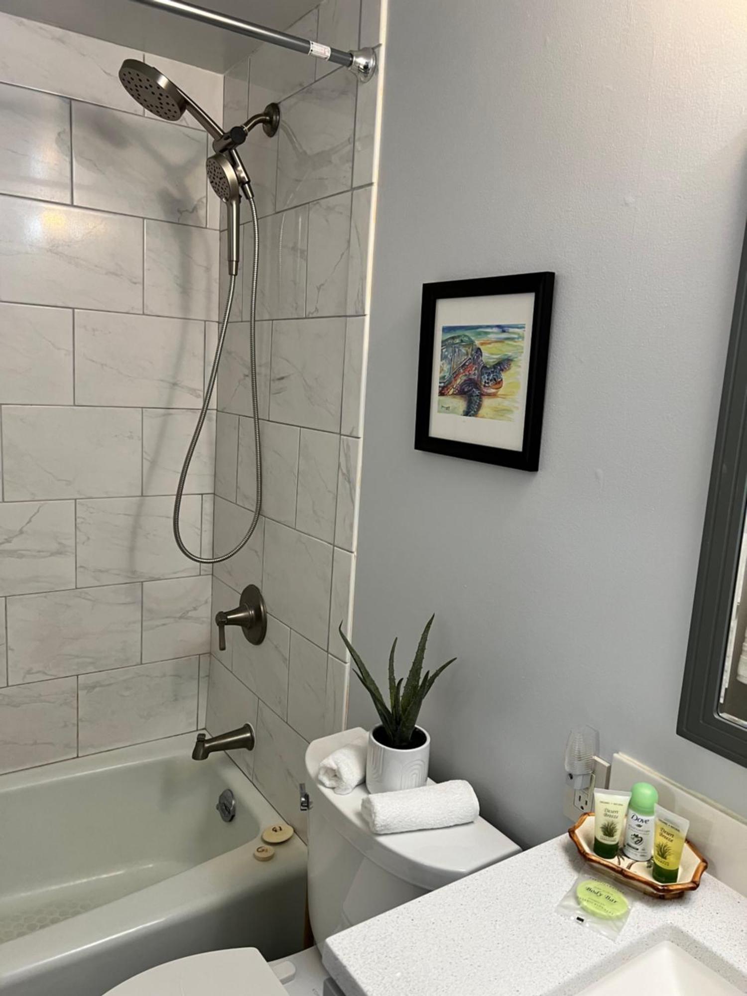 Direct Oceanfront Mauna Loa Shores Honu Elua #508 Next To Carlsmith Park, Hi Appartamento