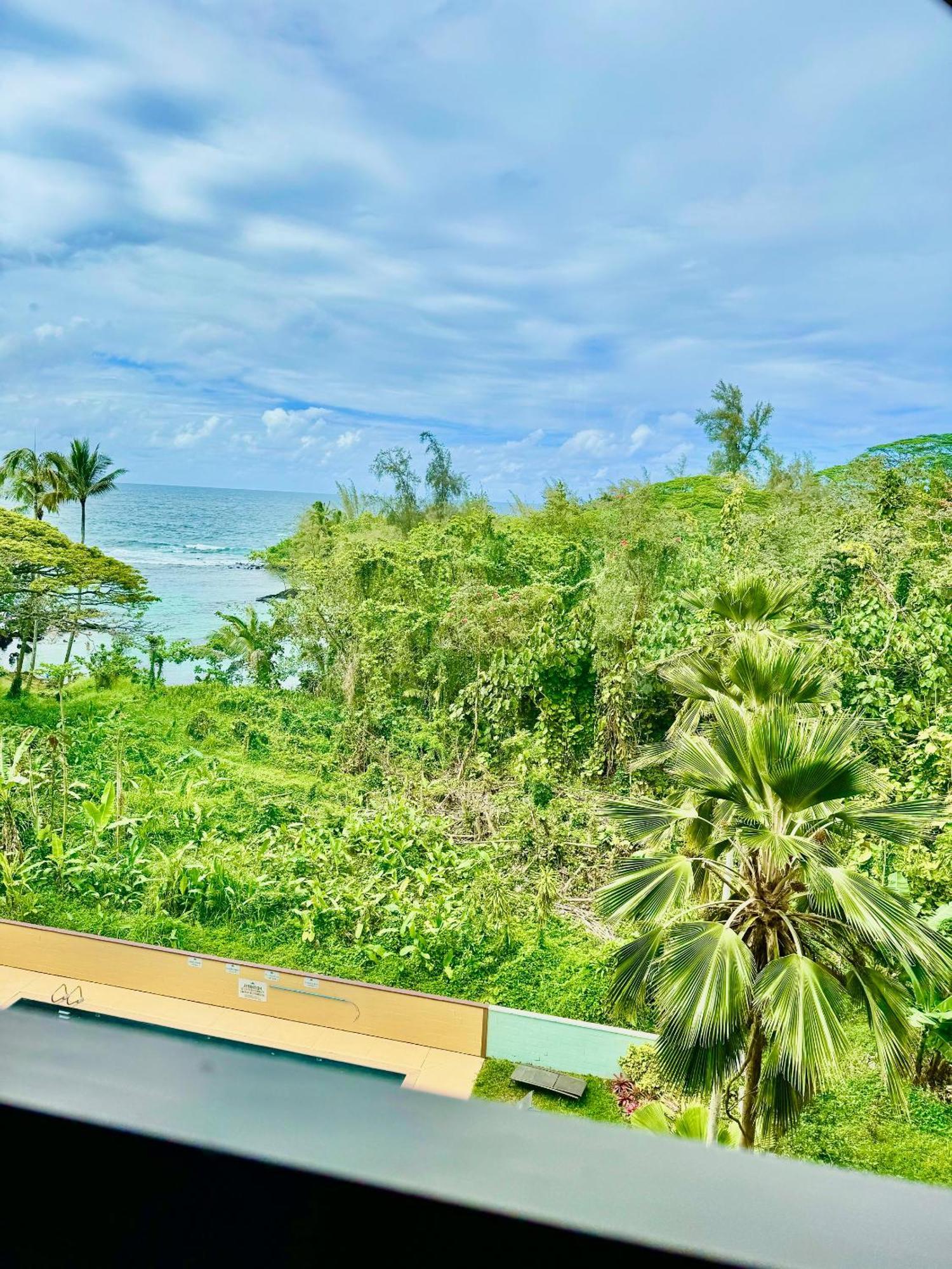 Direct Oceanfront Mauna Loa Shores Honu Elua #508 Next To Carlsmith Park, Hi Appartamento Hilo
